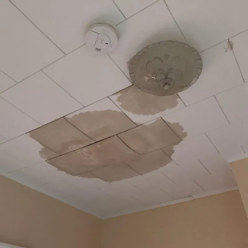 Ceiling Water Damage Repair in Cohasset, MA
