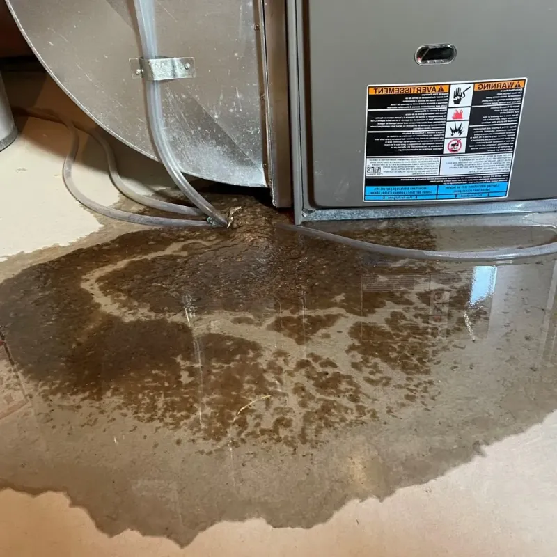 Pipe Burst and Leak Restoration in Cohasset, MA