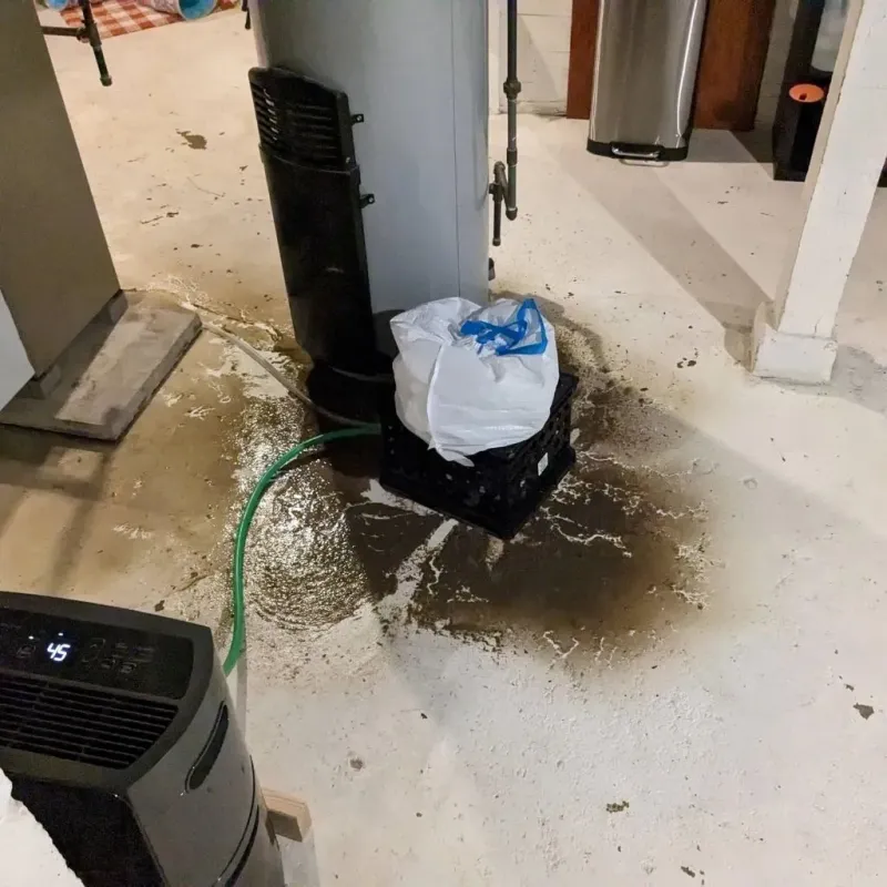 Sewage Backup Cleanup Service in Cohasset, MA
